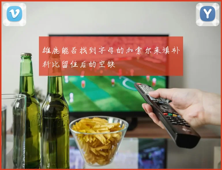 雄鹿能否找到字母的加索尔来填补科比留住后的空缺