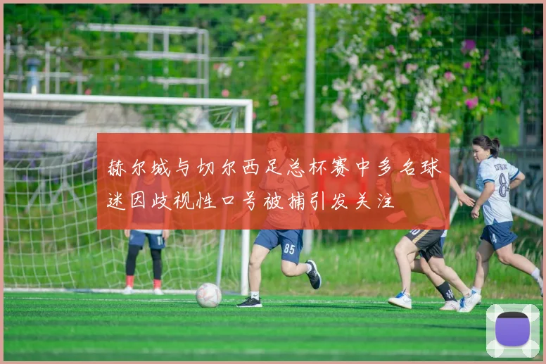 赫尔城与切尔西足总杯赛中多名球迷因歧视性口号被捕引发关注